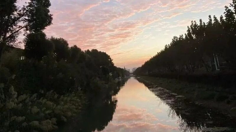 发明专利申报代理资质要求解析**