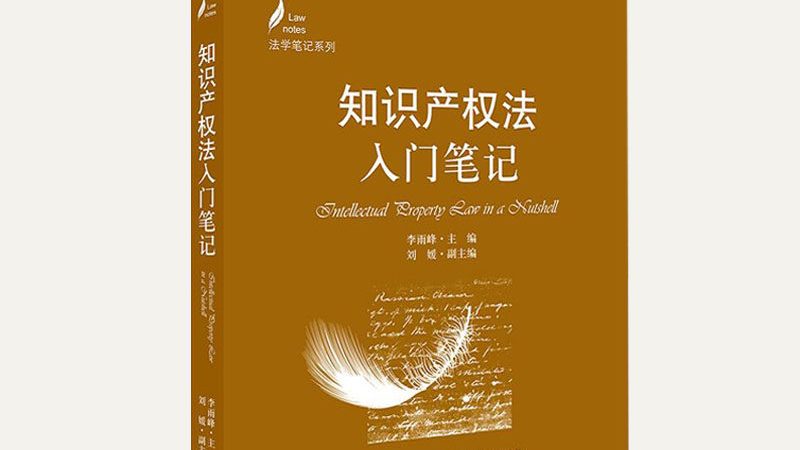 公司注册类型选择：合规与效率的双重考量